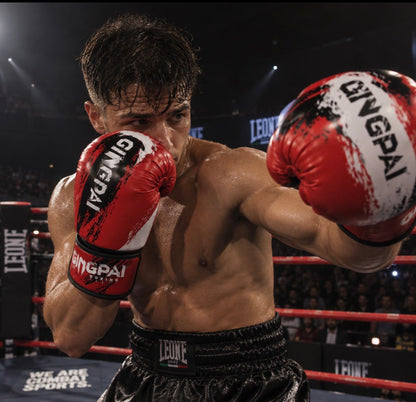 Gants de Boxe