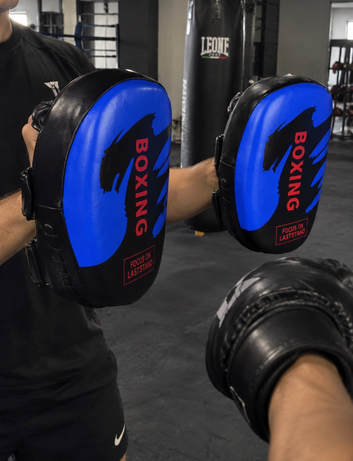 Pattes d’Ours de Boxe